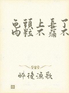 龟头上长了一个肉粒不痛不痒