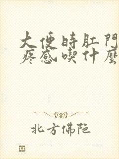 大便时肛门有刺疼感吃什么药