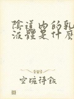 阴道内的乳白色液体是什么