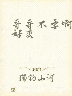 哥哥不要啊啊啊好爽封面