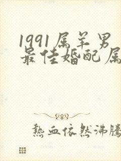 1991属羊男最佳婚配属相