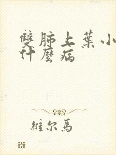 双肺上叶小结节什么病