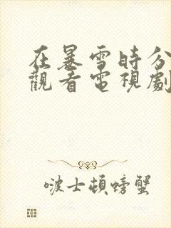 在暴雪时分免费观看电视剧完整版封面