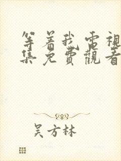 等着我电视剧全集免费观看