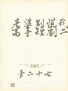 老婆别慌我全家高手短剧二姐