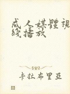 成人媒体视频在线播放