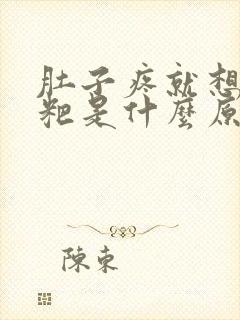 肚子疼就想拉粑粑是什么原因封面