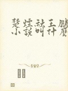 楚烟秋王鹏原著小说叫什么