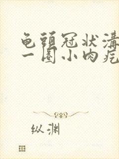 龟头冠状沟起的一圈小肉疙瘩图片