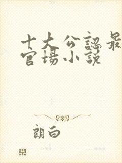 十大公认最好看官场小说