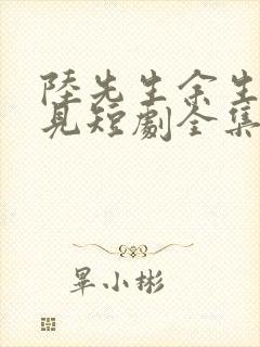 陆先生余生不再见短剧全集