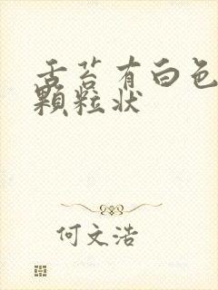 舌苔有白色的小颗粒状