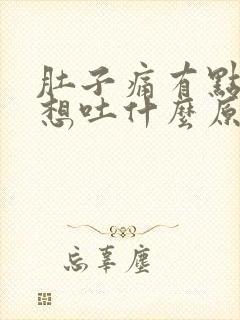 肚子痛有点反胃想吐什么原因