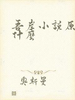 吾岸小说原著叫什么封面