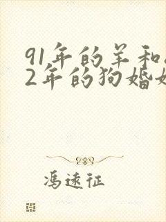 91年的羊和82年的狗婚姻怎么样