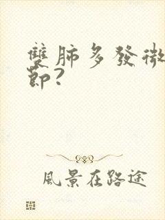 双肺多发微小结节?封面