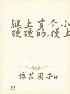 腿上有个小疙瘩硬硬的,摸上去就疼