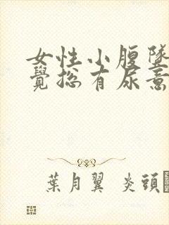 女性小腹坠胀感觉总有尿意