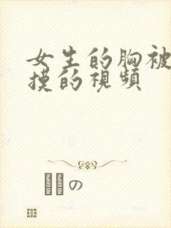 女生的胸被男生摸的视频