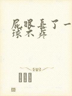 屁眼长了一个肉球不疼封面