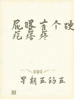 屁眼有个硬硬的疙瘩疼