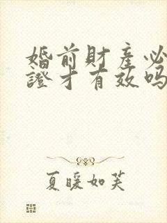 婚前财产必须公证才有效吗