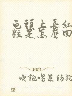 龟头上长红色颗粒是怎么回事