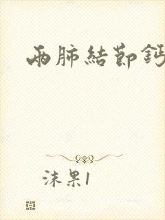 两肺结节钙化影