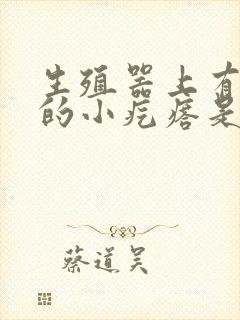 生殖器上有红色的小疙瘩是怎么回事