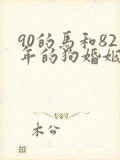 90的马和82年的狗婚姻怎么样