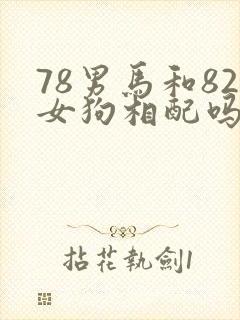 78男马和82女狗相配吗