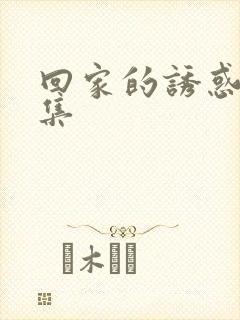 回家的诱惑共几集