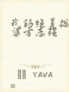 我的绝美总裁老婆方志强