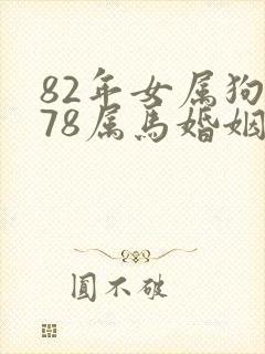 82年女属狗和78属马婚姻如何