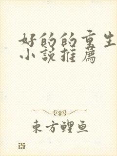 好的的重生逆袭小说推荐