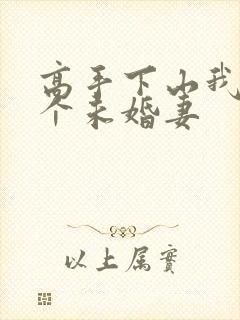 高手下山我有九个未婚妻