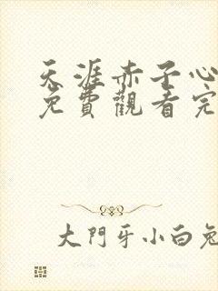 天涯赤子心全集免费观看完整封面