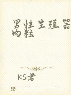 男性生殖器的小肉粒封面