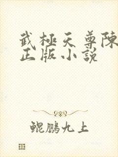 武极天尊陈天极正版小说