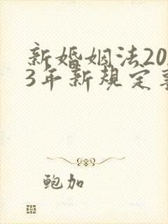 新婚姻法2023年新规定事实婚姻