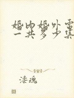 婚内婚外电视剧一共多少集