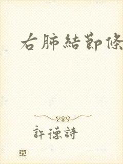 右肺结节条索影