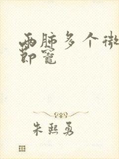 两肺多个微小结节灶