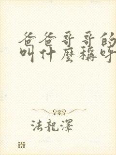 爸爸哥哥的老婆叫什么称呼封面