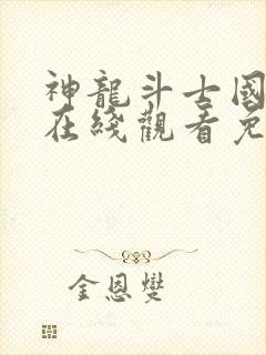 神龙斗士国语版在线观看免费封面