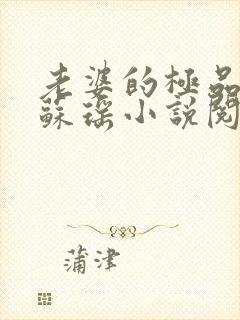 老婆的极品闺蜜苏瑶小说阅读封面