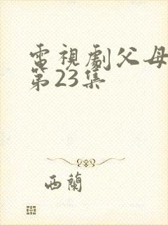 电视剧父母爱情第23集