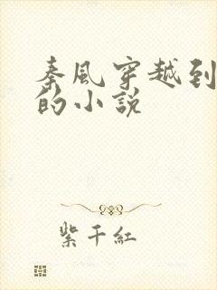 秦风穿越到秦朝的小说封面