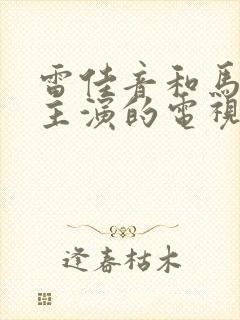 雷佳音和马伊琍主演的电视剧是什么