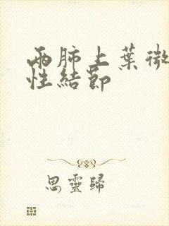 两肺上叶微小实性结节